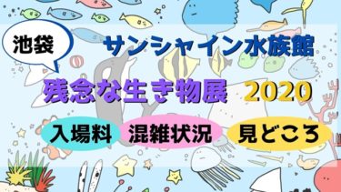 残念な生き物展 年 池袋のサンシャイン水族館へ行ってきました 入場料や混雑状況など感想をレポート 子供と楽しむ折り紙 工作