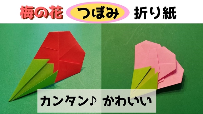 梅の花【つぼみ】折り紙の折り方・作り方★切らないで作れる簡単でかわいい飾り！