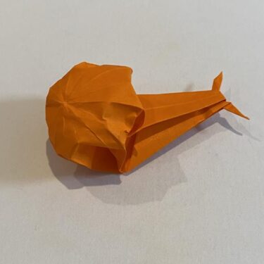 カタツムリの折り紙は難しい⁈リアルで立体的な折り方作り方を紹介