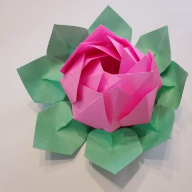 折り紙の蓮 ハス の花 立体的な作り方折り方 葉っぱつきでかわいい 子供と楽しむ折り紙 工作