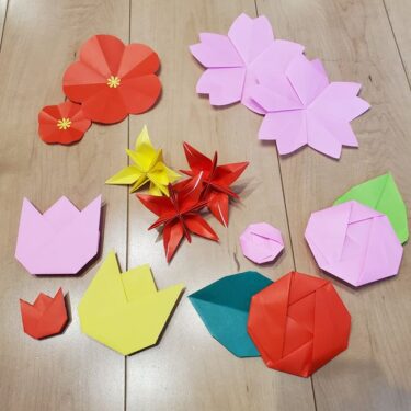 折り紙の花 可愛いのに簡単に一枚で作れる 平面から立体まで折り方をまとめ 子供と楽しむ折り紙 工作