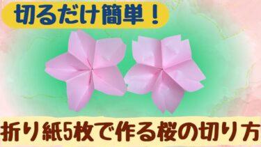 折り紙の桜 5枚でも簡単な切り方作り方